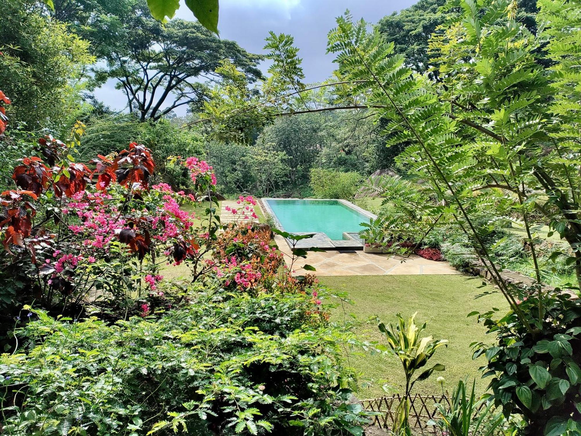 Glenmyu Estate Apartment Haputale Ngoại thất bức ảnh